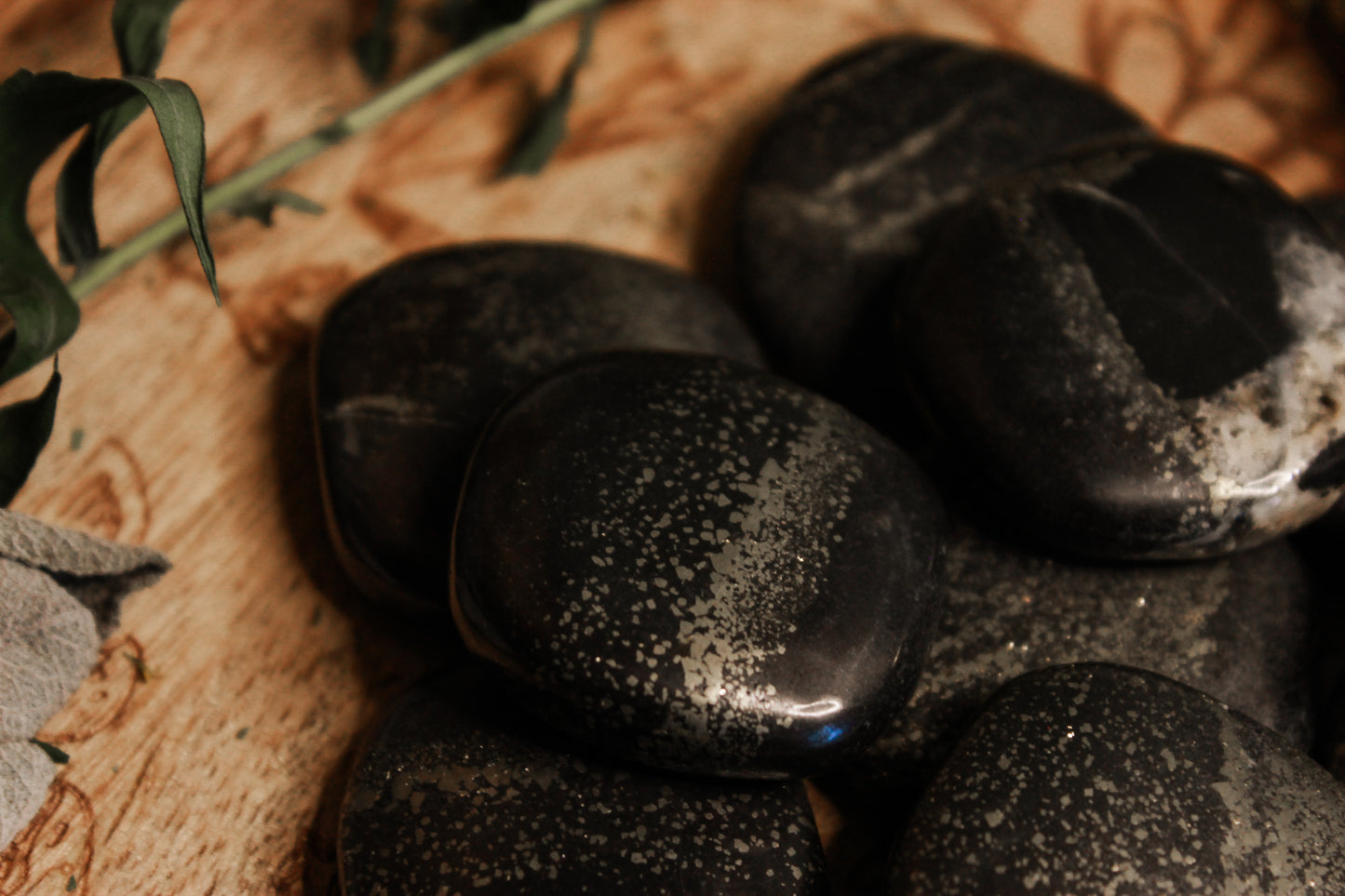 Pyrit in Schiefer Scheibenstein aus Deutschland - Faire regionale Steine - Schwarzes rundes Katzengold auf einer Holzplatte umgeben von ein paar Blättern