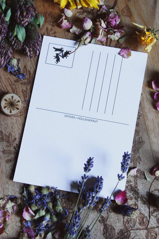 Die weiße Rückseite der Postkarte. Im Viereck für die Briefmarken ist die Illustration der drei Hasen wiederzufinden.