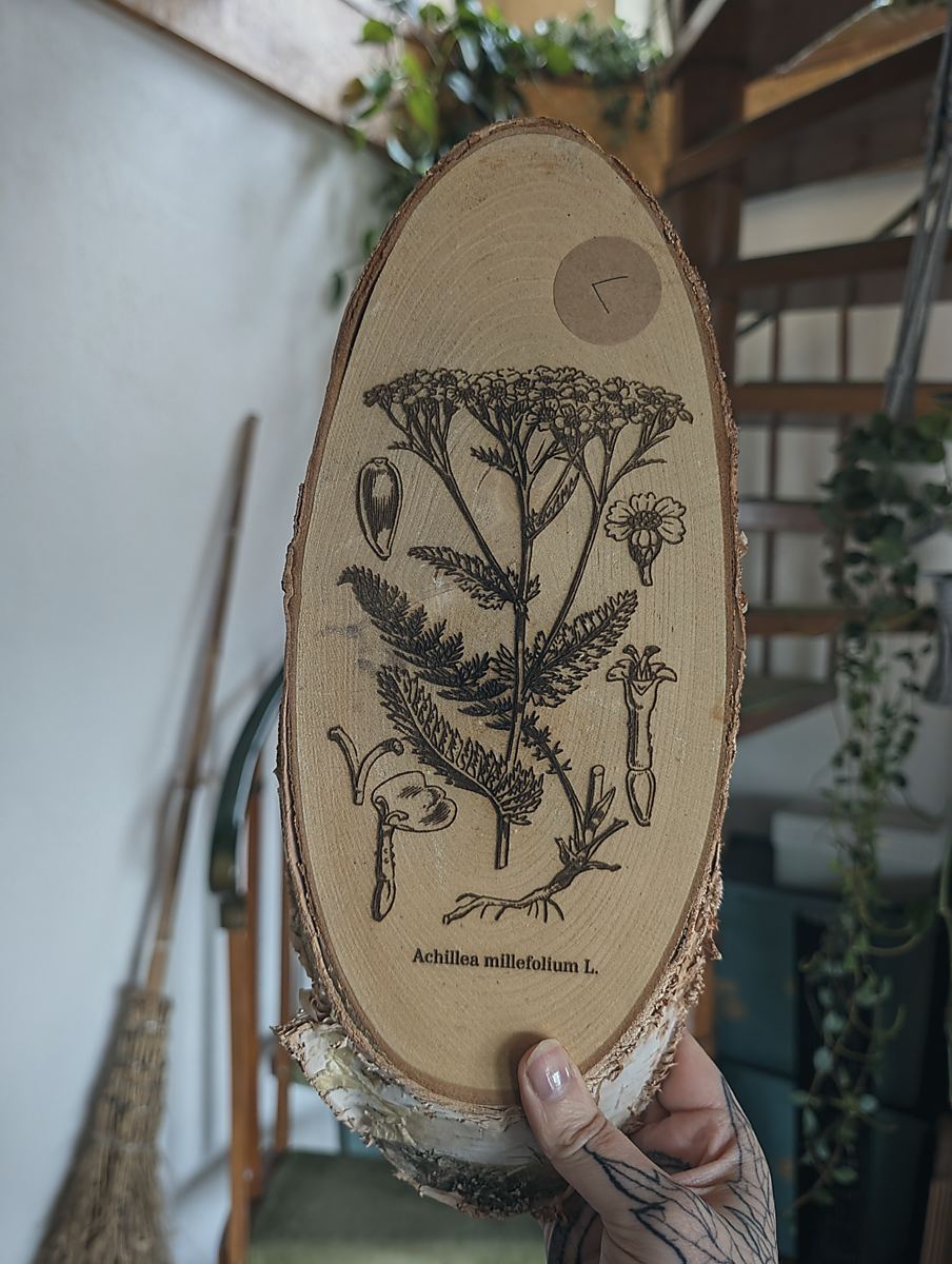 Eine Hand hält eine ovale Holzscheibe in die Kamera. Auf der Holzscheibe ist die botanische Zeichnung der Schafgarbe eingebrannt. Darunter steht: Achillea millefolium L.
Im Hintergrund sieht man eine Wendeltreppe und einen Hexenbesen der an der Wand lehnt.
Variante: C