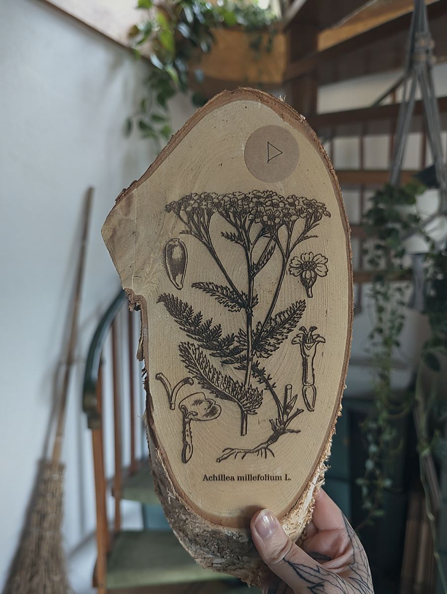 Eine Hand hält eine ovale Holzscheibe in die Kamera. Auf der Holzscheibe ist die botanische Zeichnung der Schafgarbe eingebrannt. Darunter steht: Achillea millefolium L.
Im Hintergrund sieht man eine Wendeltreppe und einen Hexenbesen der an der Wand lehnt.
Variante: D