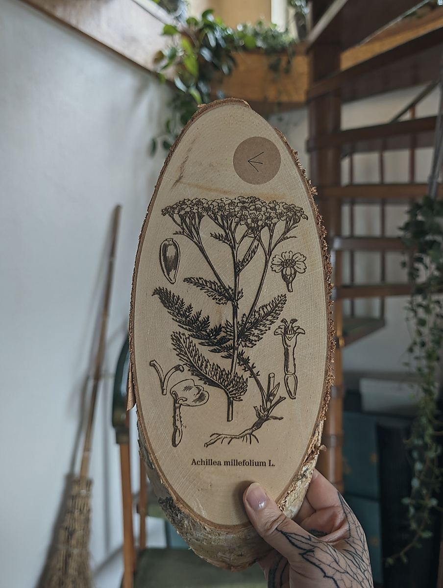 Eine Hand hält eine ovale Holzscheibe in die Kamera. Auf der Holzscheibe ist die botanische Zeichnung der Schafgarbe eingebrannt. Darunter steht: Achillea millefolium L.
Im Hintergrund sieht man eine Wendeltreppe und einen Hexenbesen der an der Wand lehnt.
Variante: E
