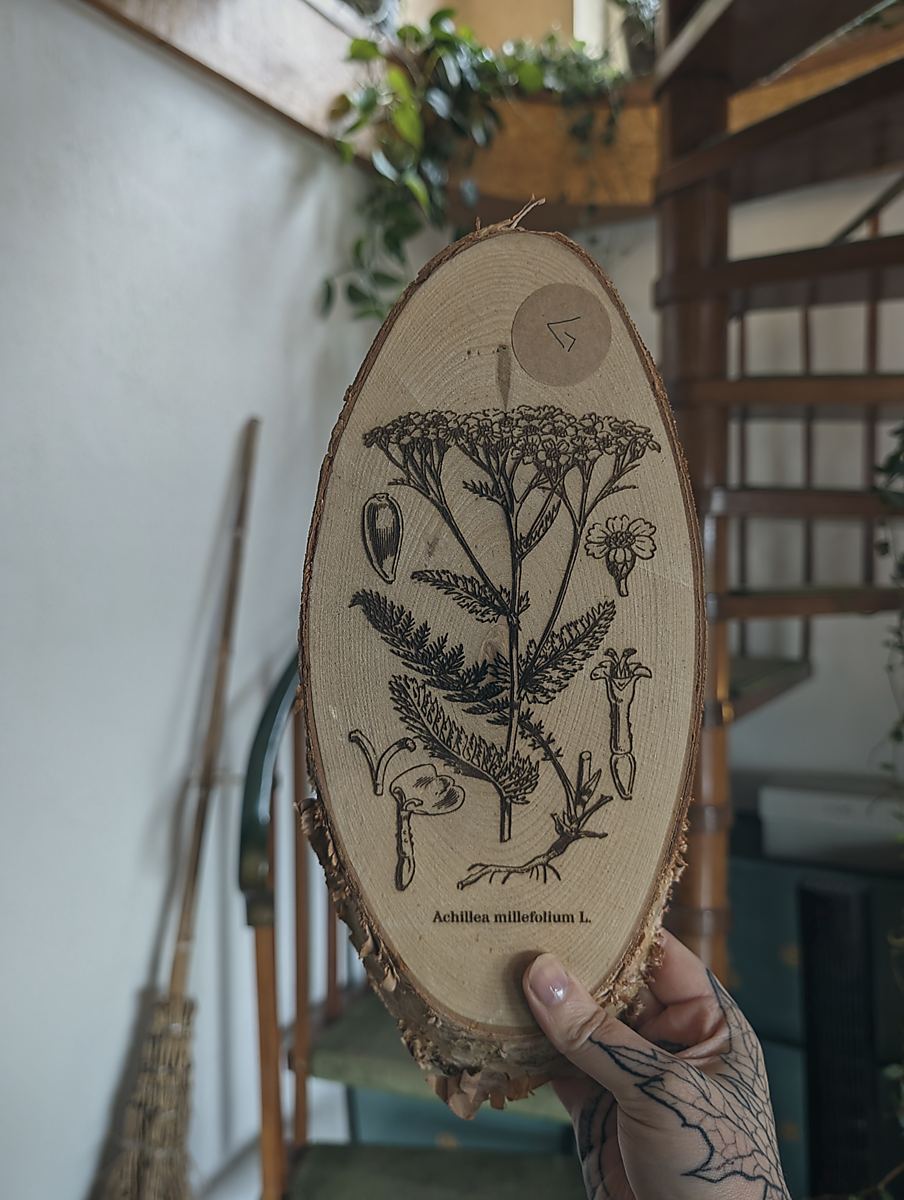 Eine Hand hält eine ovale Holzscheibe in die Kamera. Auf der Holzscheibe ist die botanische Zeichnung der Schafgarbe eingebrannt. Darunter steht: Achillea millefolium L.
Im Hintergrund sieht man eine Wendeltreppe und einen Hexenbesen der an der Wand lehnt.
Variante: G
