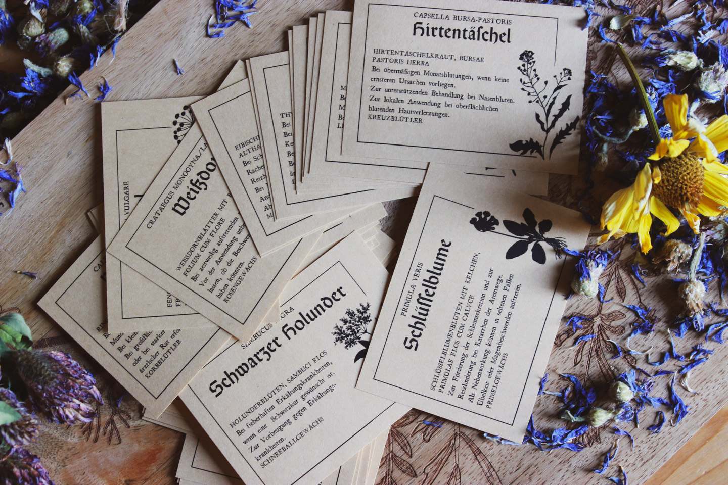Das Bild zeigt eine Sammlung von botanischen Aufklebern, die auf einer Holzoberfläche angeordnet sind. Diese enthalten Informationen über verschiedene Pflanzen, wie ihre Namen, Anwendungen und Beschreibungen. Die Texte sind auf Deutsch geschrieben und die Karten haben Illustrationen der Pflanzen. Umgeben sind die Karten von getrockneten Blumen und Kräutern, was eine natürliche und rustikale Atmosphäre vermittelt.