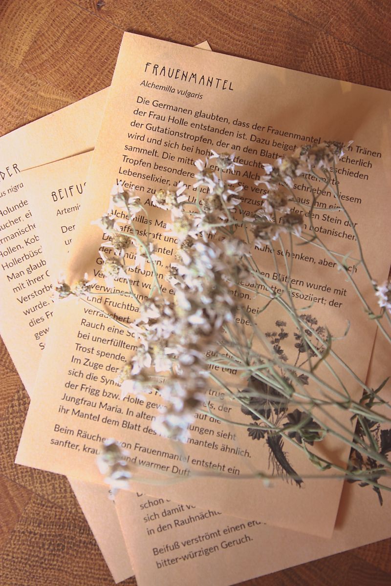 Nahaufnahme der drei Kräuterhexenwissen-Drucke. Sie sind von einer Pflanze bedeckt, sodass man sie nicht komplett lesen kann.