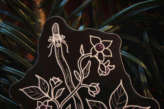 Nahaufnahme: Auf Tannennadeln gebettet liegt ein schwarzer Aufkleber mit weißer Zeichnung eines Hexenbesens um den Tollkirsche geschlungen ist.