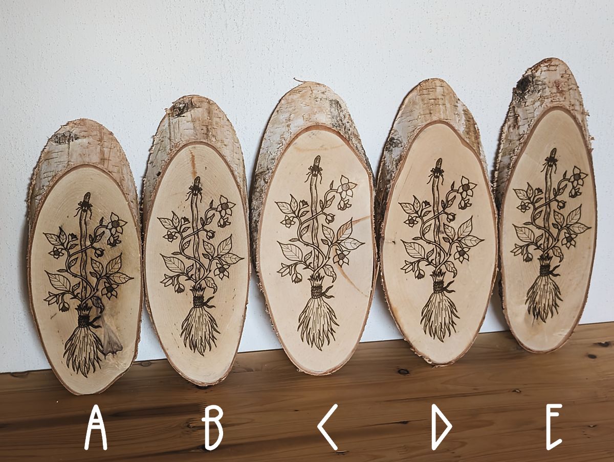 Set aus fünf Birkenholzscheiben mit identischem botanischem Motiv – ein Hexenbesen und Tollkirsche. Natürlich belassen mit Rinde, nebeneinander arrangiert zur Auswahl von A bis E.