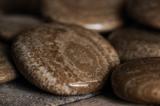 Aragonit Scheibenstein aus Österreich - Faire regionale Steine - mehrere runde Stein in braun mit glatter Textur auf einem braunen Holztisch