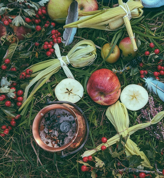 Yay! Zwei Jahre Hollenkraut! 🎥