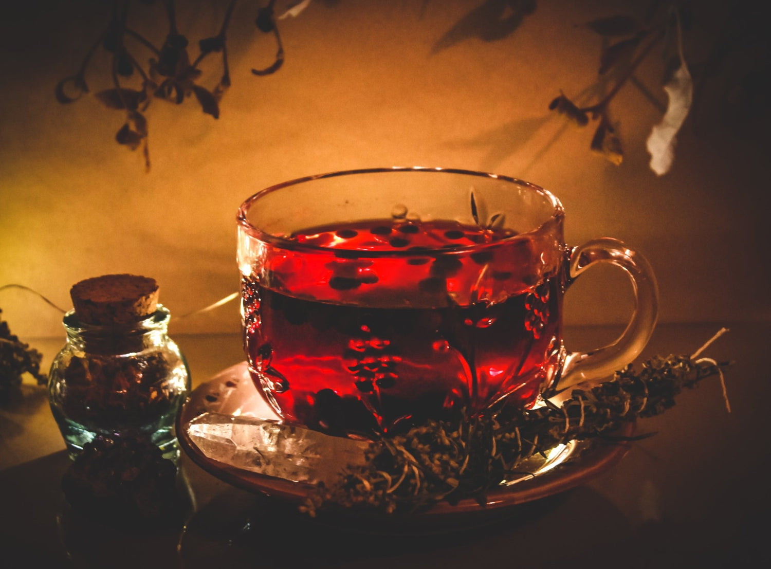 Für die Kräuterhex - Hollenkraut