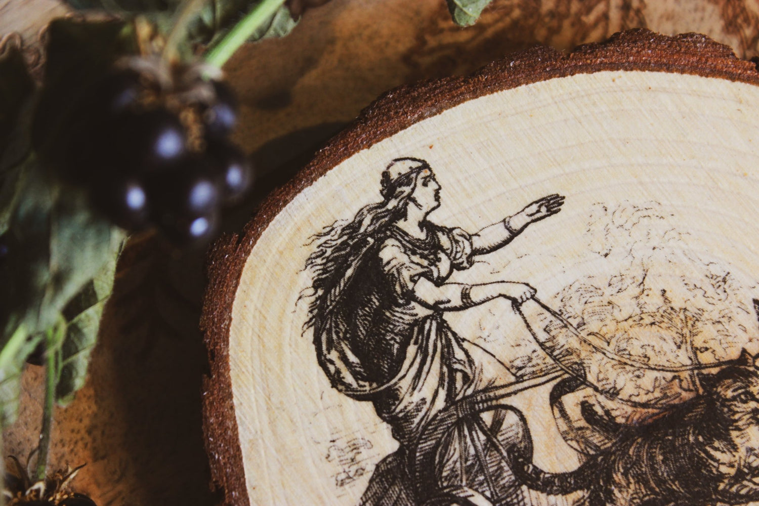 Zweite Wahl - Hollenkraut