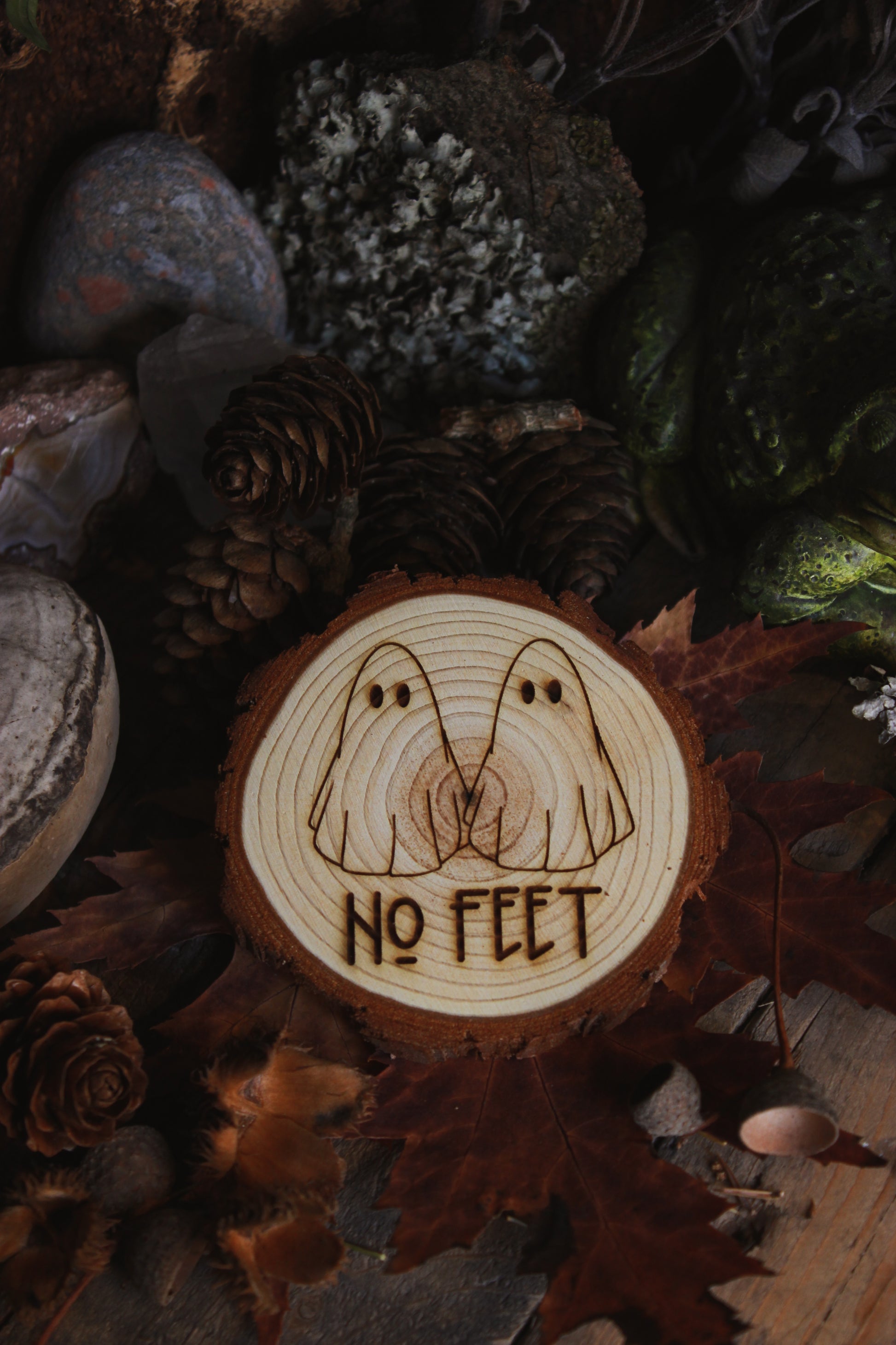 Wandbild aus Holz "No Feet" Eine Holzscheibe mit Geistermotiv "NO FEET" steht darunter, umgeben von Kräutern und Kristallen, alles steht auf einem braunen Tisch, rechts sieht man eine Kröte