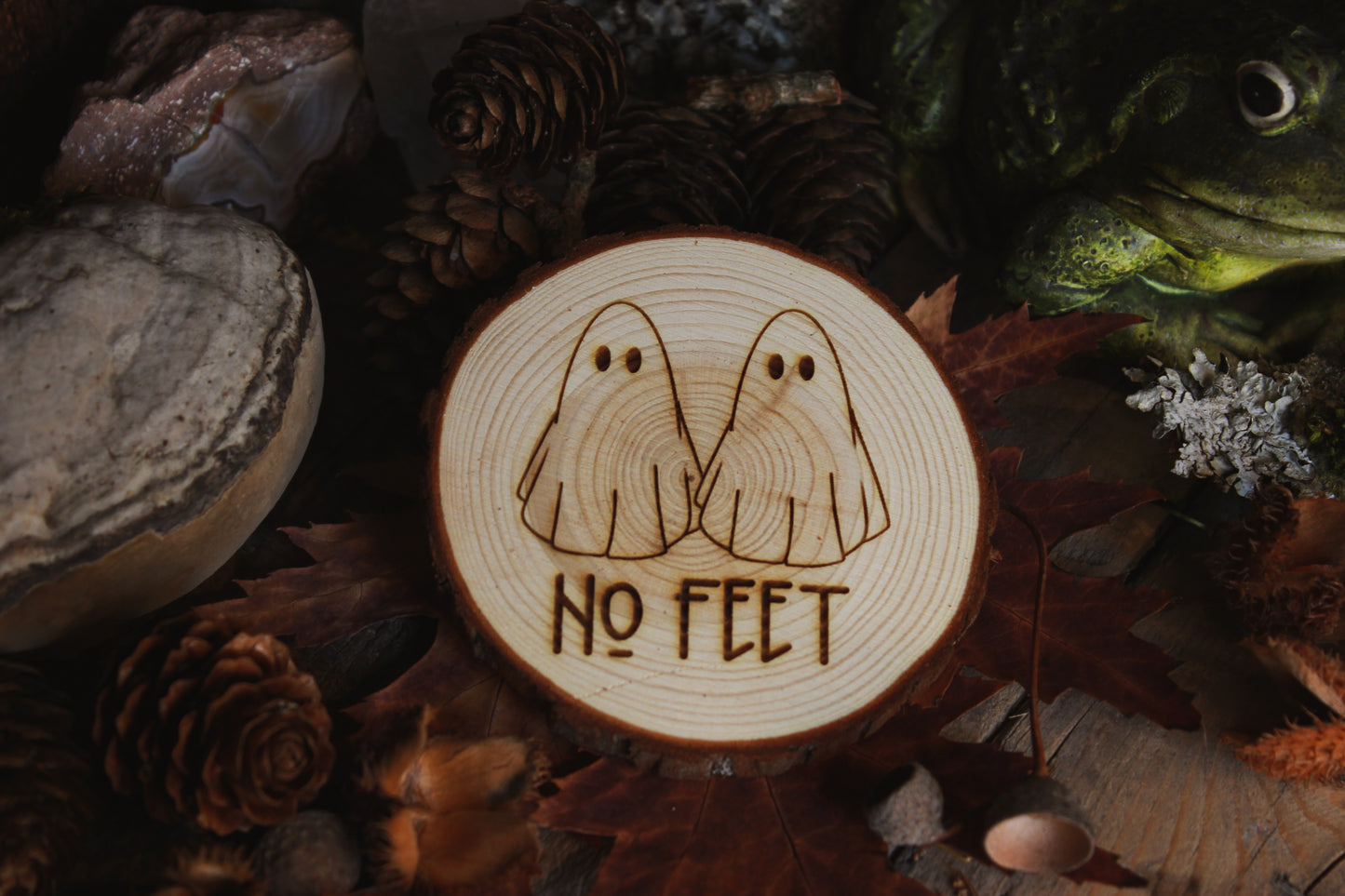 Wandbild aus Holz "No Feet" Zwei Holzscheiben mit Geistermotiv "NO FEET" steht darunter, umgeben von Kräutern und Kristallen, alles steht auf einem braunen Tisch, rechts sieht man eine Kröte