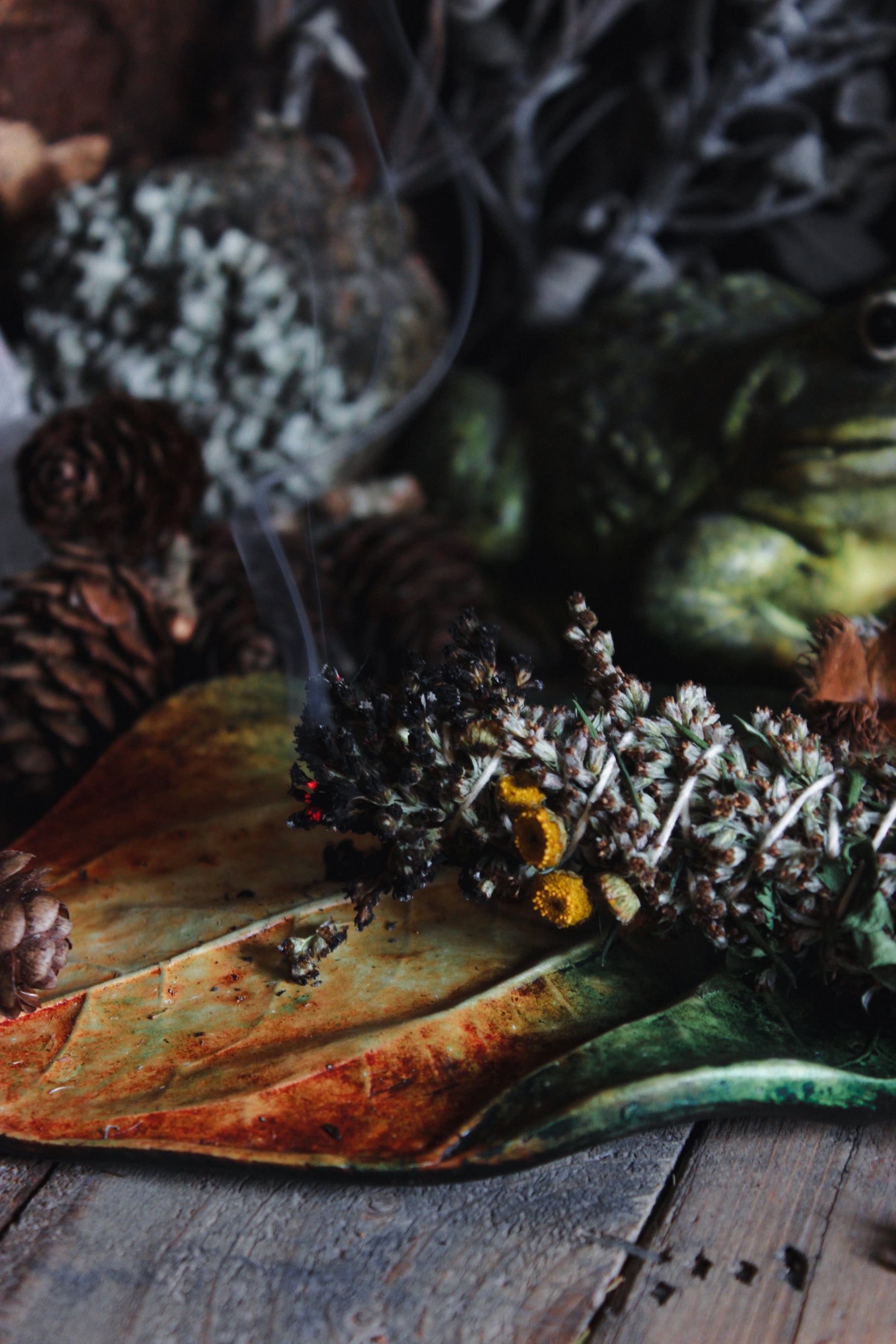 Ein brennendes Räucherbündel präsentiert auf einem Untergrund mit Blättern und Zapfen, man erkennt eine Kröte in der Ecke