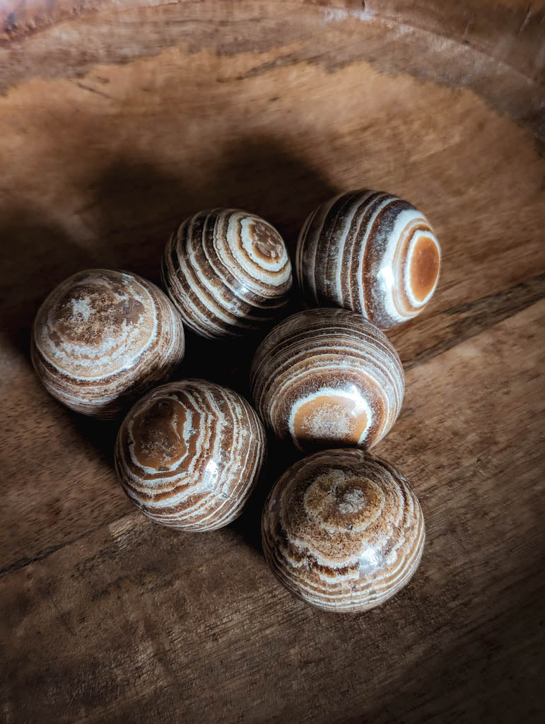 Sechs große beige-braune Aragonit-Kugeln in einer Holzschale.