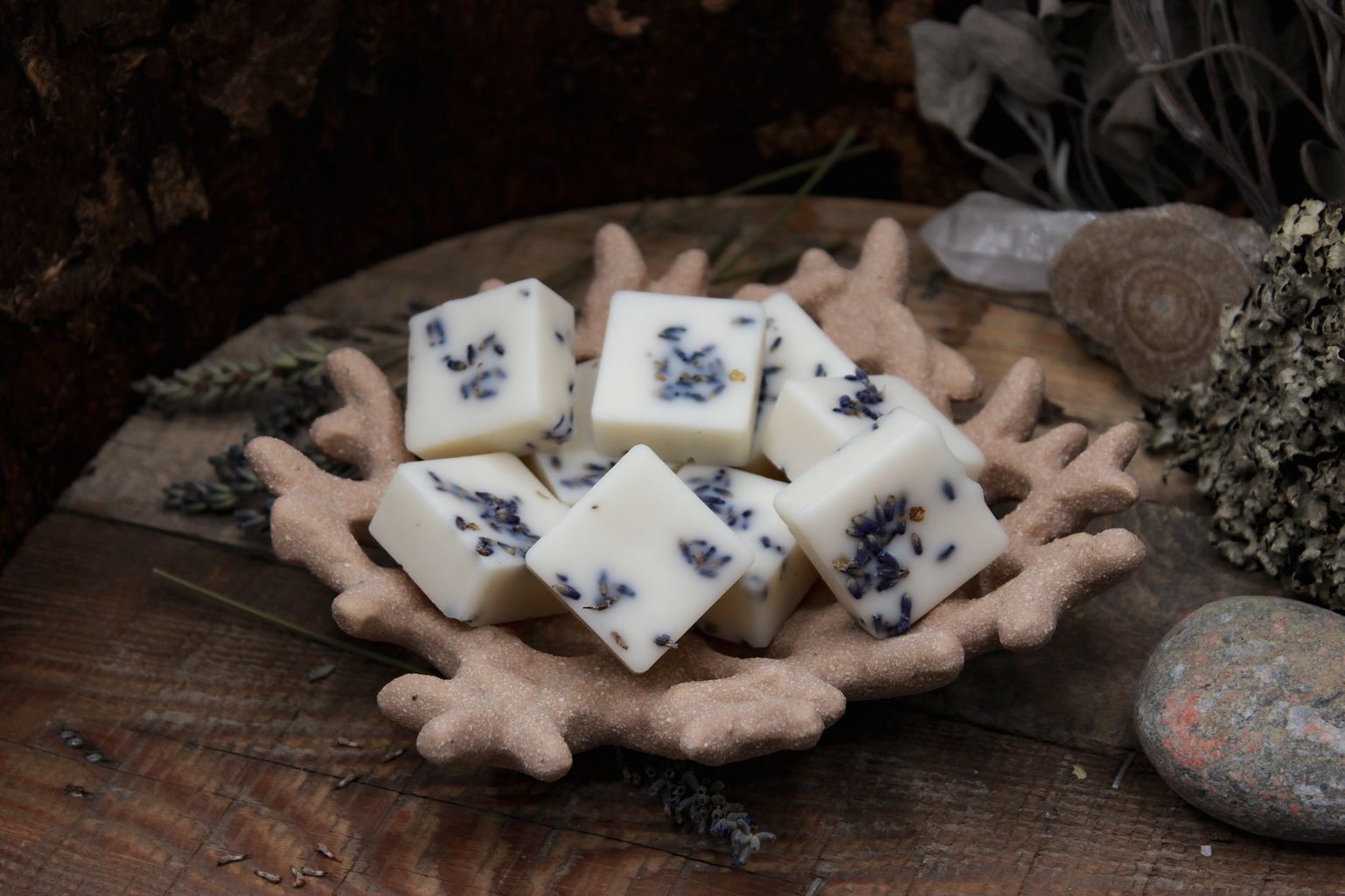 In einer Schale liegen neun weiße quadratische Wax Melts mit Lavendelblüten.