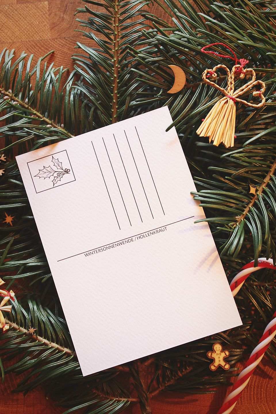 Rückseite: eine Postkarte mit einer Stechpalme in der Ecke, wo eine Briefmarke hin kommt.