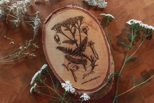 Von Schafgarbe umgeben liegt eine ovale Holzscheibe auf einem Untergrund aus Holz. Auf der Holzscheibe ist die botanische Zeichnung der Schafgarbe eingebrannt. Darunter steht: Achillea millefolium L.
