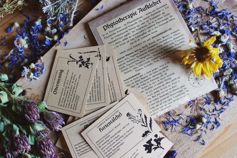Das Bild zeigt eine Sammlung von Kräuterkarten und die daneben liegen Umverpackung, umgeben von getrockneten Blumen und Kräutern. Die Karten beziehen sich auf die Phytotherapie, also die Verwendung pflanzlicher Behandlungen zu medizinischen Zwecken.