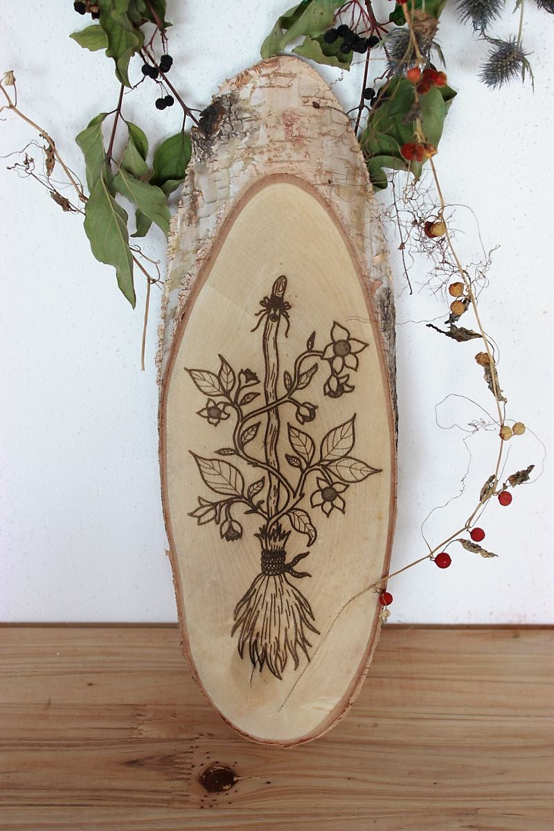 Ovales Holzstück mit kunstvoller Pyrographie eines botanischen Designs – zeigt ein Hexenbesen der von schwarzer Tollkirsche umschlungen wird. Handgefertigt auf natürlichem Holz mit Rinde, dekorativ inszeniert mit getrockneten Ranken und Beeren.