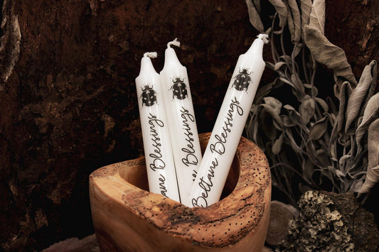 In einem Holzgefäß stehen drei weiße Stabkerzen auf denen ein Marienkäfer und der Schriftzug "Beltane Blessings" zu sehen sind.