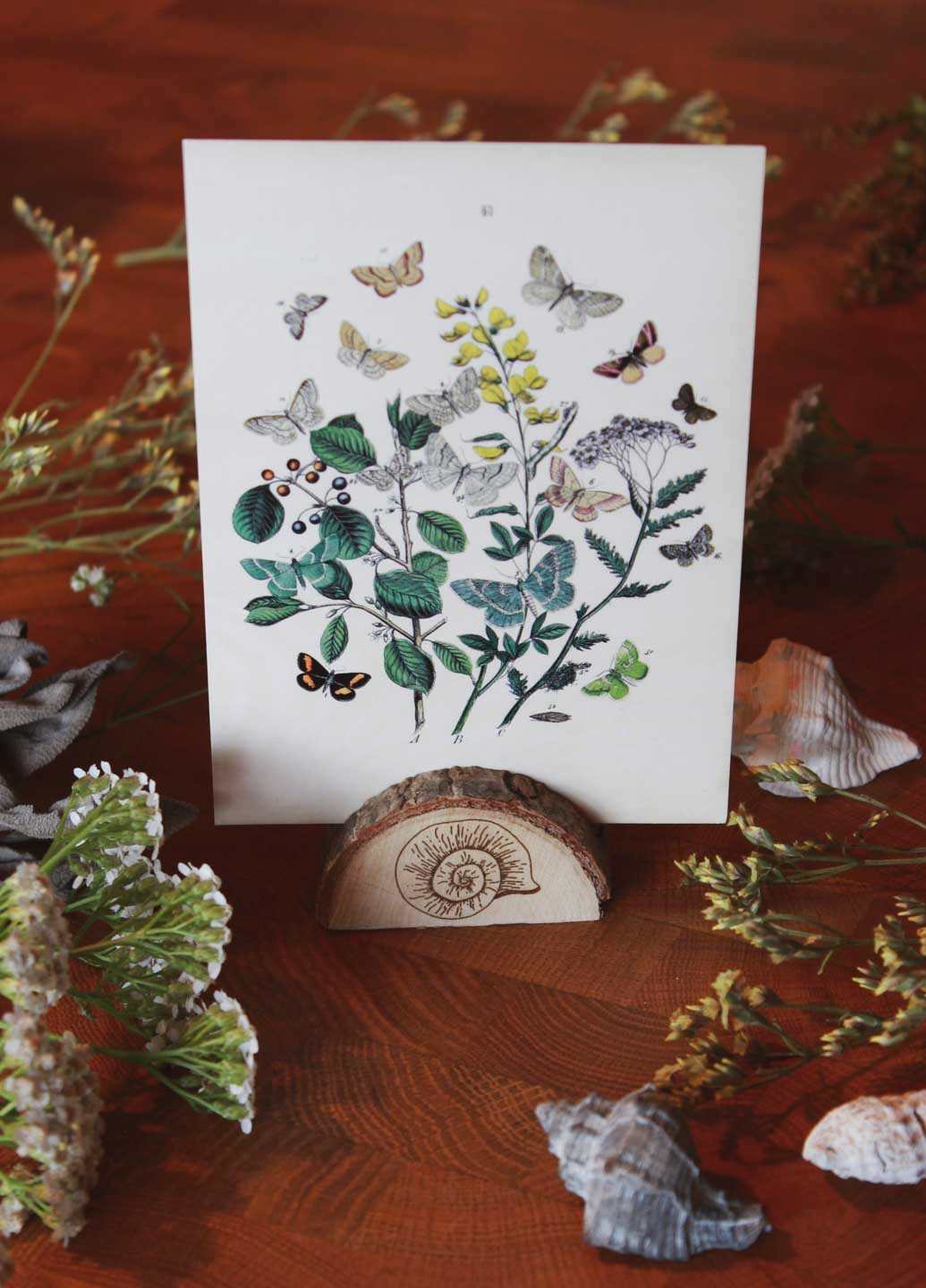 Ein Kartenhalter aus einer halbierten Baumscheibe, worauf das Motiv eines Schneckenhauses graviert ist. Drumherum liegen Pflanzen und Schnecken. Und im Kartenhalter steckt eine Postkarte mit floralem Bild.
