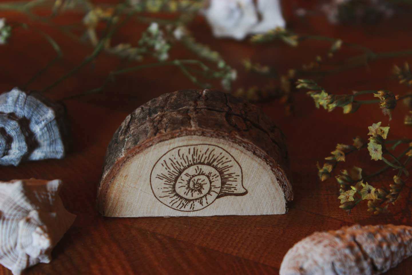 Ein Kartenhalter aus einer halbierten Baumscheibe, worauf das Motiv eines Schneckenhauses graviert ist. Drumherum liegen Pflanzen und Schnecken.