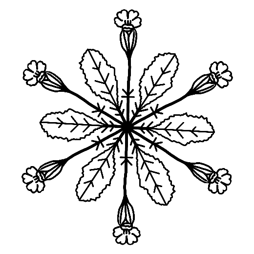HOLLENKRAUT-Logo mit einer detaillierten schwarz-weißen Illustration einer Pflanze mit sechs Blättern und sechs Blüten