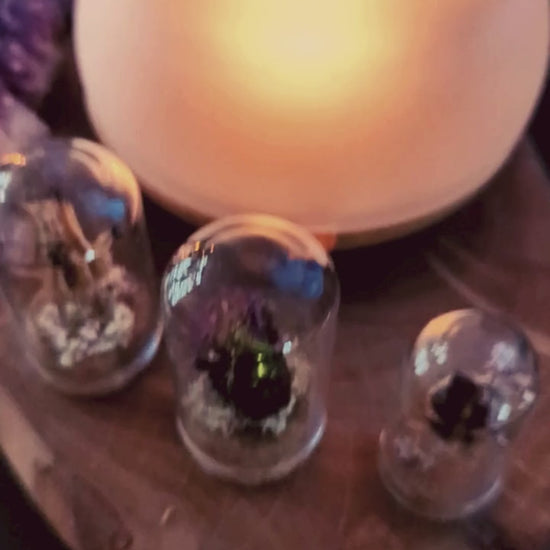 Ein Video der Kräuterlampe im Einsatz. Die Kamera macht einen Schwenk oben in den Glaseinsatz hinein. Dort steht eine leere Teelicht-Hülse aus Alu drin. Ein dunkles flüssiges Harz wird darin verdampft. Darunter steht ein Text: "Kleiner Tipp: Reine Harze kannst du in der Kräuterlampe räuchern, ohne den Glaseinsatz zu verschmutzen, indem du eine leere Teelichthülse aus Alu nutzt."