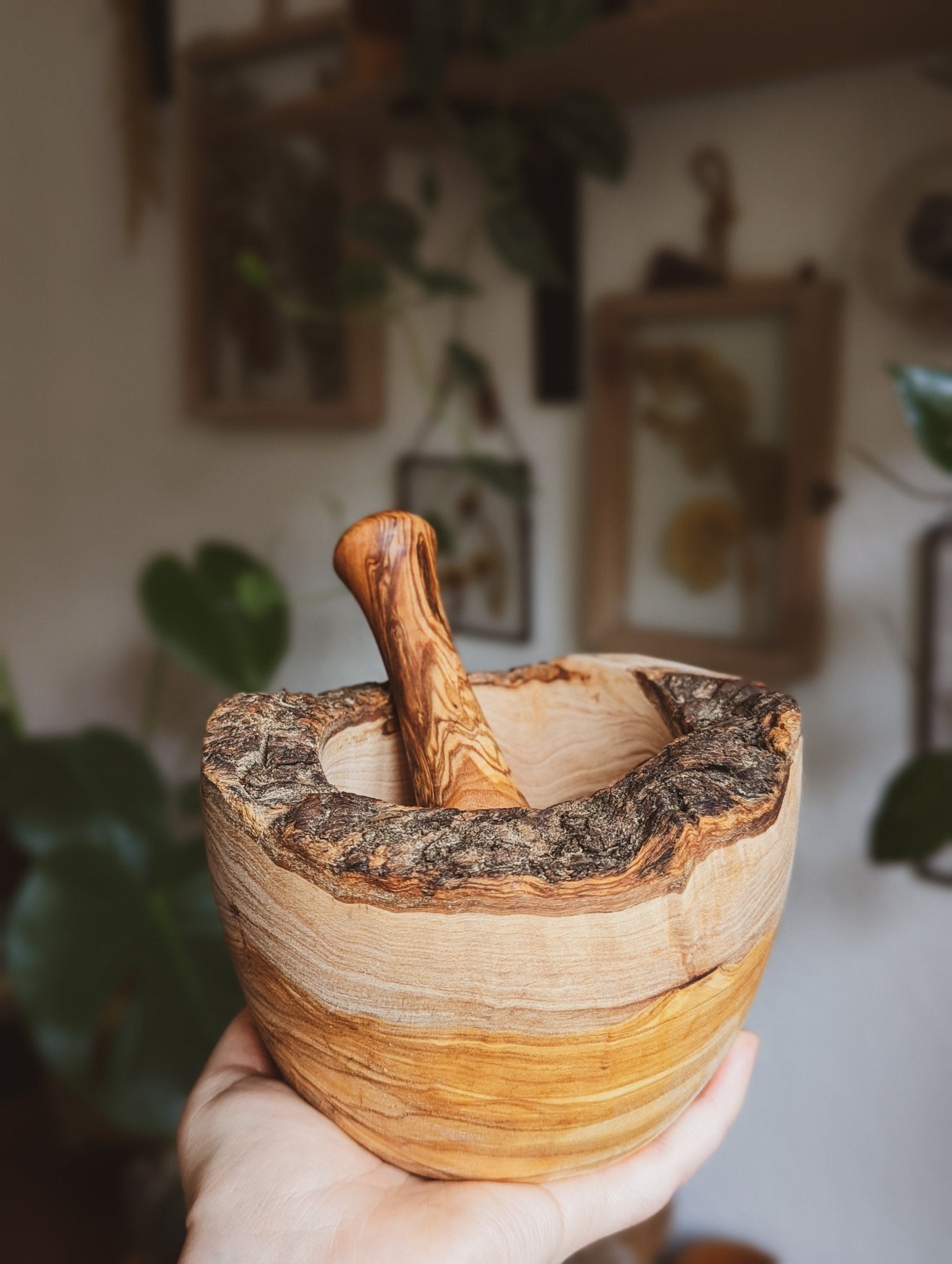 Mörser & Stößel aus Olivenholz - Rustikales, handgefertigtes Mörser- und Stößelset aus natürlichem Holz,  gehalten in einer Hand, im Hintergrund sieht man eine Wand behangen mit Pflanzen