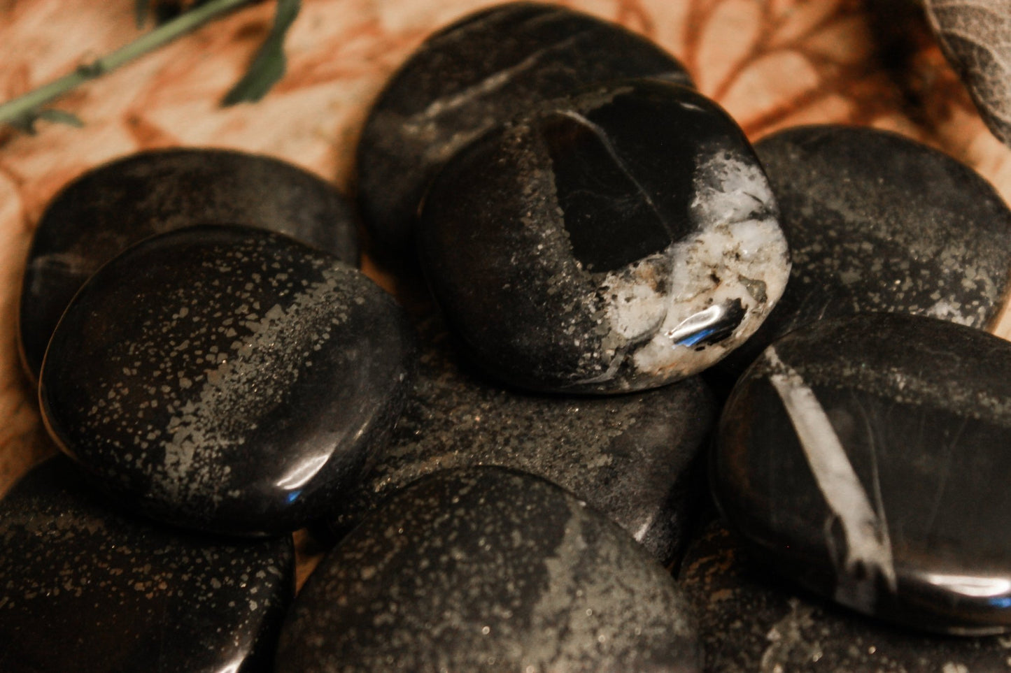 Pyrit in Schiefer Scheibenstein aus Deutschland - Nahaufnahme von glänzenden schwarzen Steinen mit einzigartigen weißen Mustern auf einem natürlichen Hintergrund aus Holz und Blättern.
