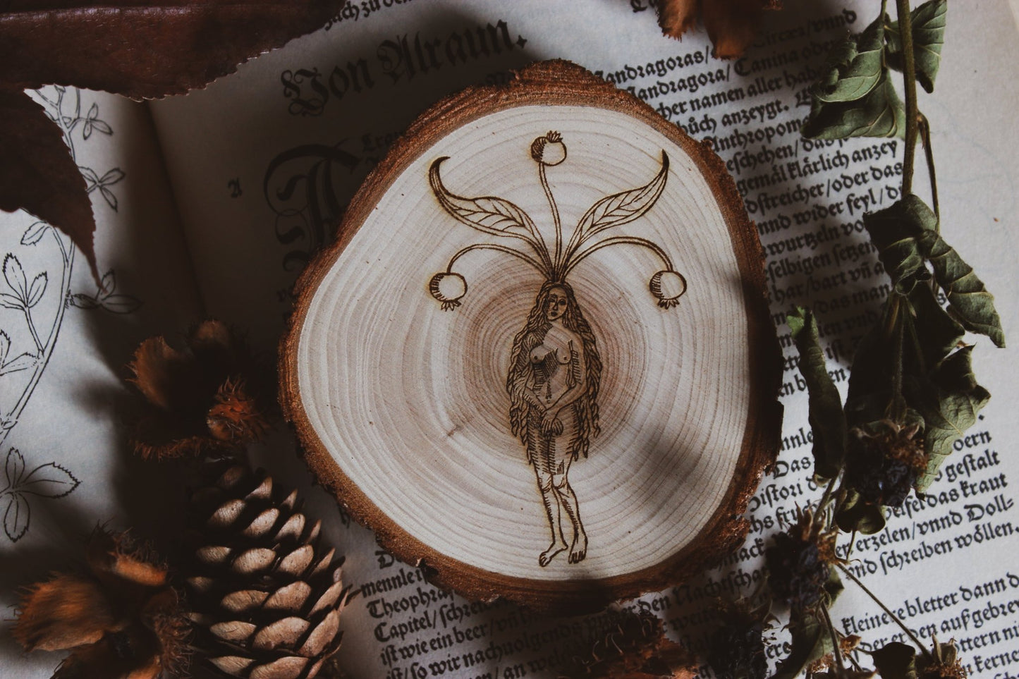 Wandbild aus Holz "Alrun Fraw" Handgefertigtes Kunstwerk mit einer fein detaillierten Gravur einer Figur und floralen Elementen auf einem Holzstück, platziert auf einem offenen Buch mit dekorativen Illustrationen und Text, umgeben von getrockneten Blättern und einem Tannenzapfen.