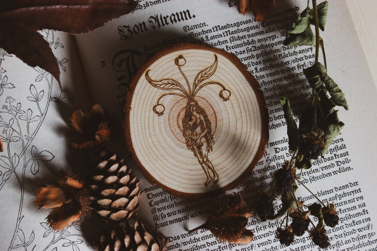 Wandbild aus Holz "Alrun Fraw" - Dekoration aus Holz - Handgefertigtes Kunstwerk mit einer fein detaillierten Gravur einer Figur und floralen Elementen auf einem Holzstück, platziert auf einem offenen Buch mit dekorativen Illustrationen und Text, umgeben von getrockneten Blättern und einer Tannenzapfen.