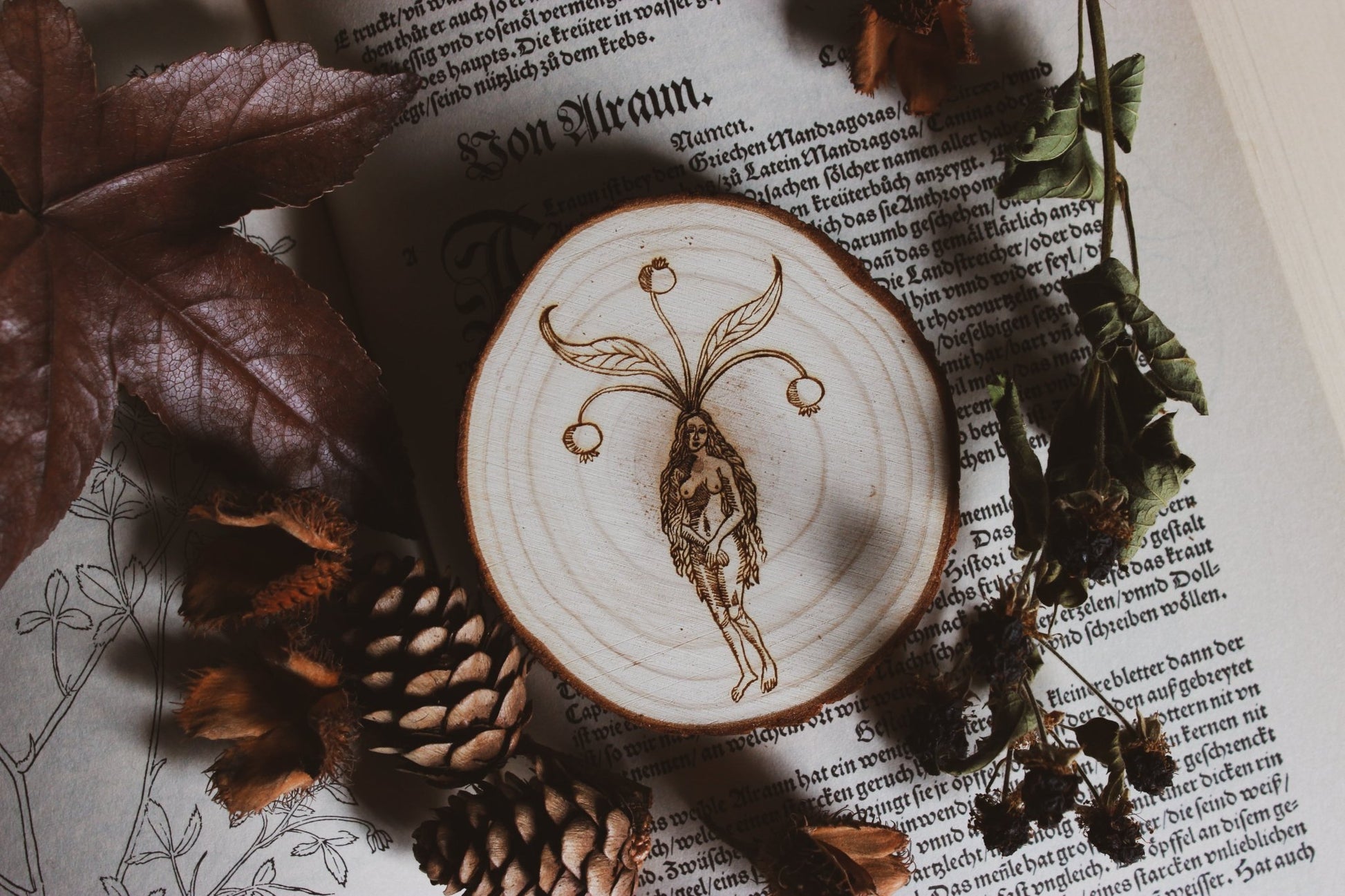 Wandbild aus Holz "Alrun Fraw" - Dekoration aus Holz -Handgefertigtes Kunstwerk mit einer fein detaillierten Gravur einer Figur und floralen Elementen auf einem Holzstück, platziert auf einem offenen Buch mit dekorativen Illustrationen und Text, umgeben von getrockneten Blättern und einer Tannenzapfen.